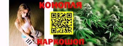 СК Ярославль
