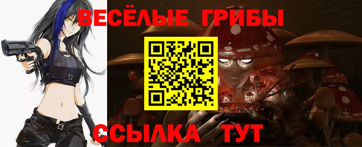 Галлюциногенные грибы Magic Shrooms Пушкино